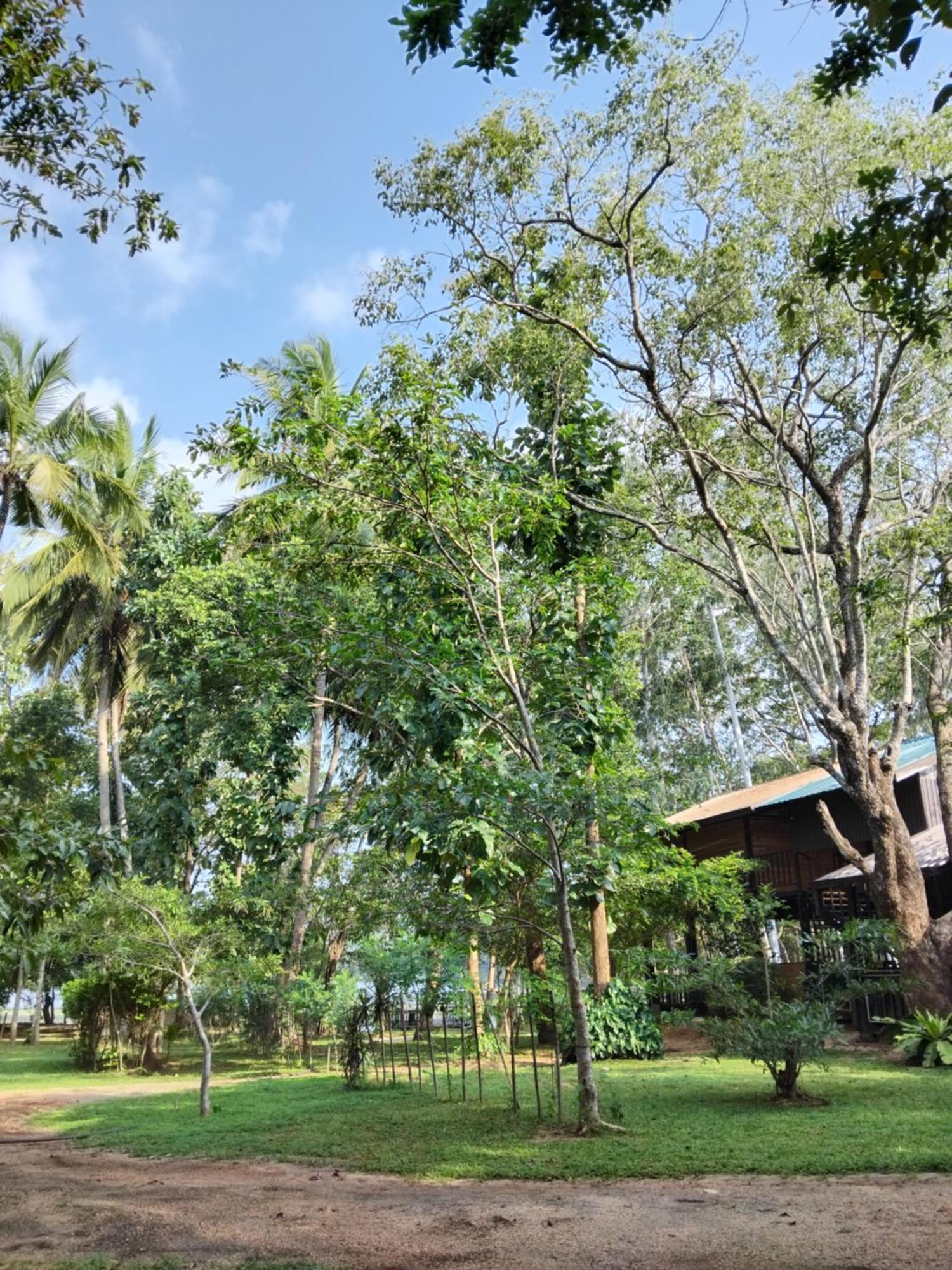דמבולה Nature'S Lake View Sigiriya מראה חיצוני תמונה