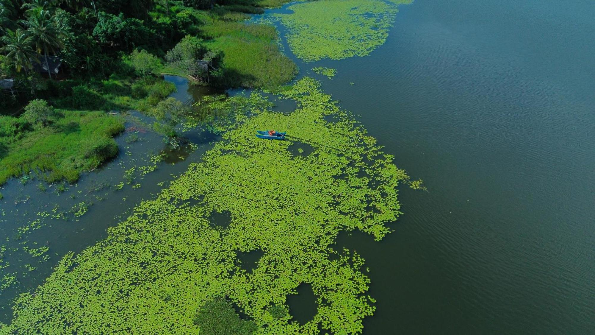 דמבולה Nature'S Lake View Sigiriya מראה חיצוני תמונה