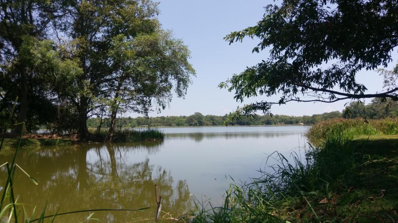 דמבולה Nature'S Lake View Sigiriya מראה חיצוני תמונה