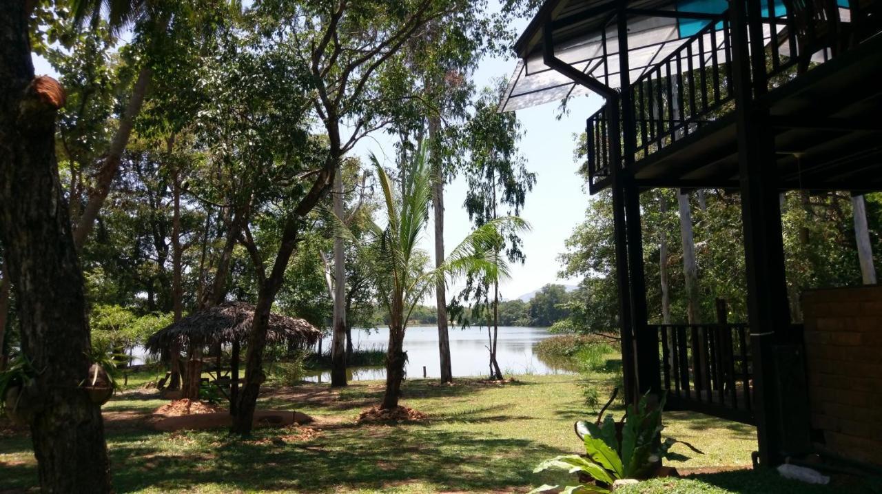 דמבולה Nature'S Lake View Sigiriya מראה חיצוני תמונה