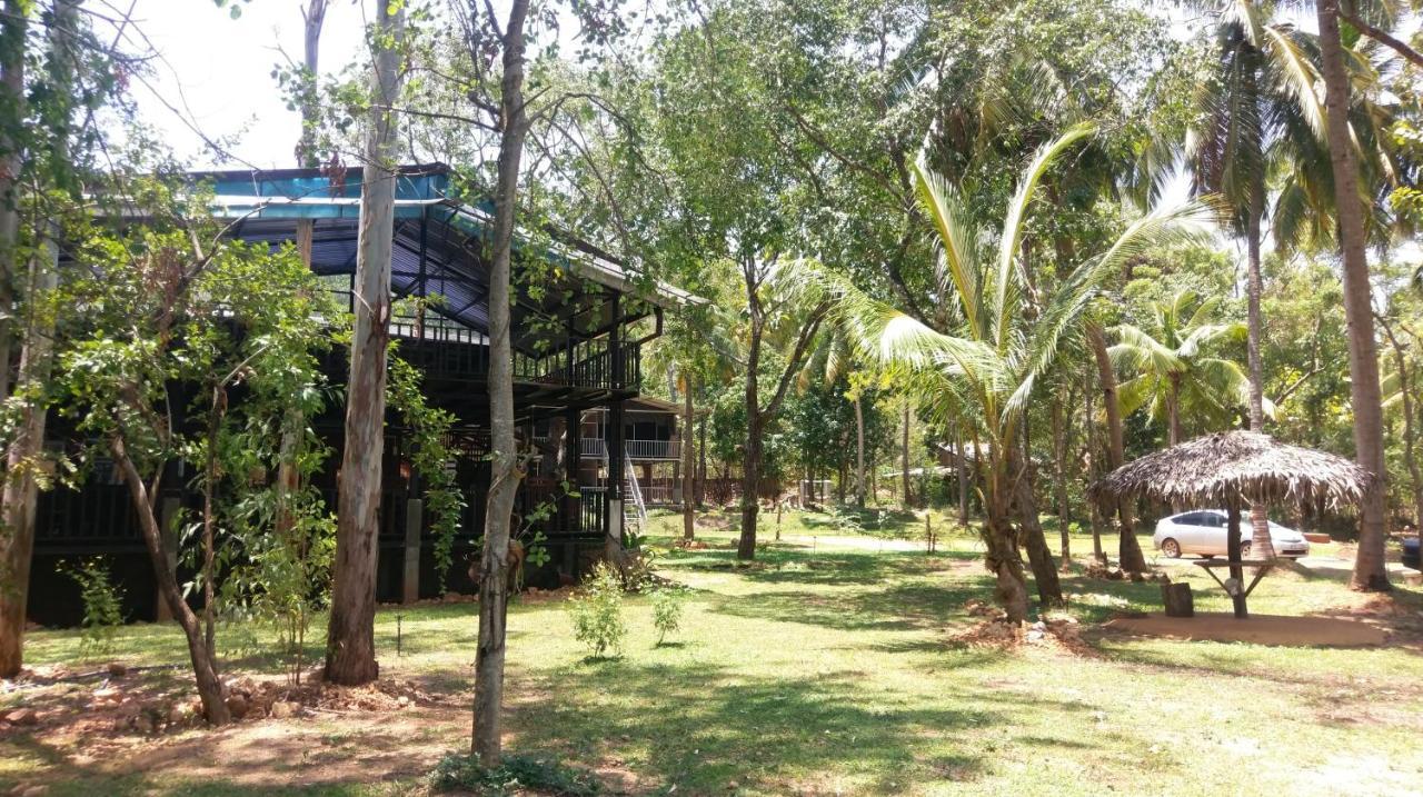 דמבולה Nature'S Lake View Sigiriya מראה חיצוני תמונה