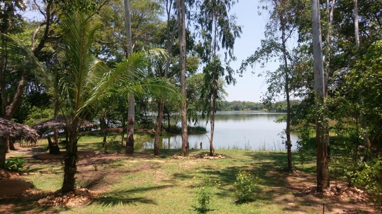 דמבולה Nature'S Lake View Sigiriya מראה חיצוני תמונה